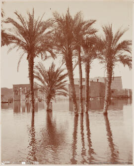 Álbum fotográfico - Viagem de Fev-Mai 1903 ao Mediterrâneo