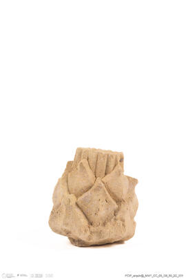 Fragmento alcachofra