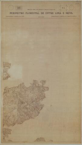 Perímetro Florestal - 41A [s.d.]