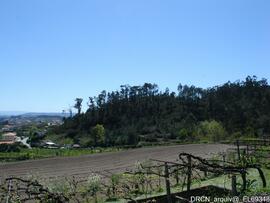 Fotografia 015