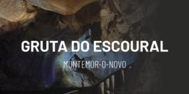 2026-02-12_PCIP_PC360_Promo_GE_VV