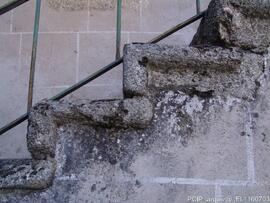 Fotografia 001