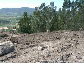 Fotografia 017
