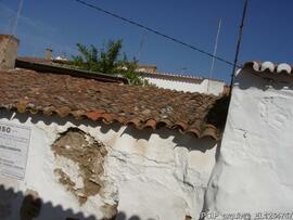 Fotografia 004