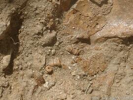 Sondagens  arqueológicas