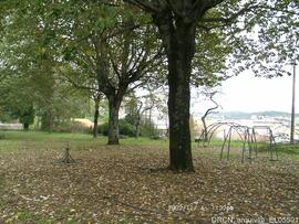 Fotografia 013