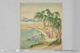 Titulo desconhecido (A cultura do arroz)