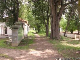 Fotografia 023