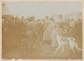 Álbum fotográfico - Passeios no Campo; saltos a cavalo; etc