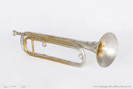 Trombeta Natural