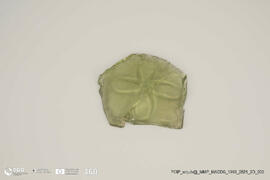 Fragmento de Garrafa