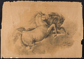 Cavalos - estudo para tecto