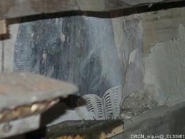 Pintura mural parede fundeira/nicho