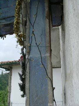 Fotografia 020