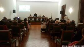 Fotografia 029