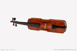 Violino
