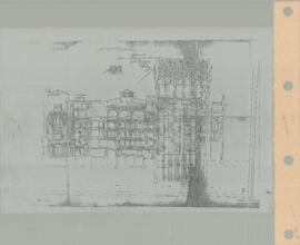 Planta (1910)
