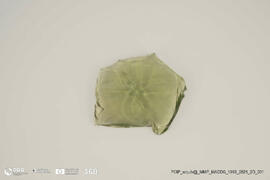 Fragmento de Garrafa