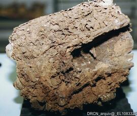 Estado de conservação