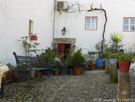Fotografia 019