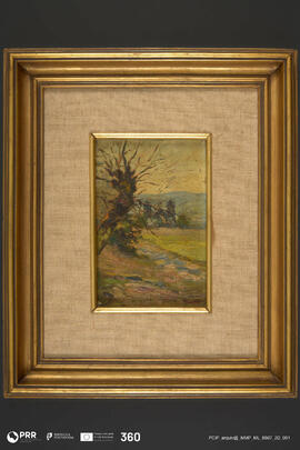 Vale de São Torcato