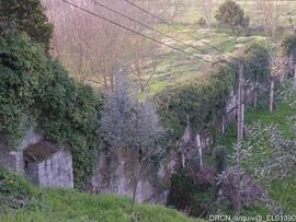 Fotografia 009