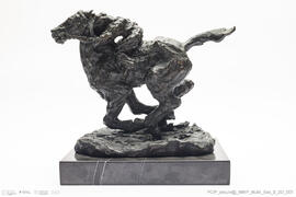 Cavalo em Corrida
