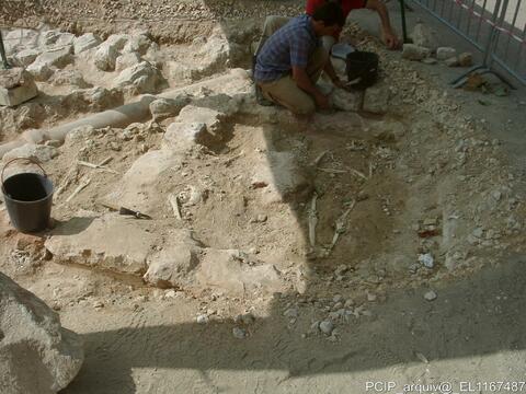 Open original Objeto digital