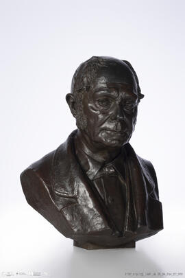 Busto de Domingos de Almeida Ribeiro