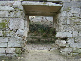 Fotografia 006