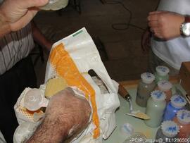 Fotografia 026