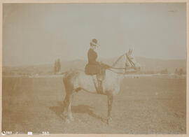 Álbum fotográfico - Passeios no Campo; saltos a cavalo; etc