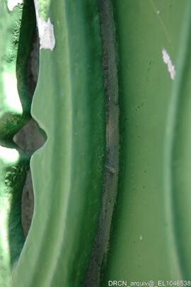 Nicho – Ornamentação