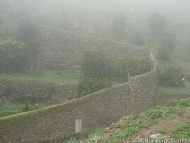 Fotografia 002