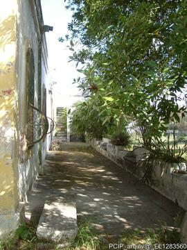 Fotografia 003