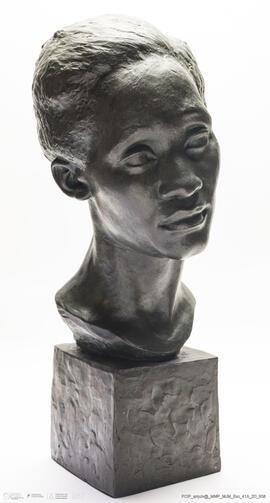 Cabeça de Negra