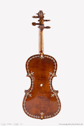 Violino