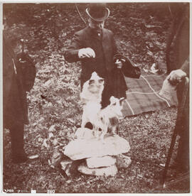 Fotografia - Retrato - Viagens Reais – Gressoney /benjamim Pinto/ brinca com dois cães