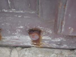 Detalhe da porta