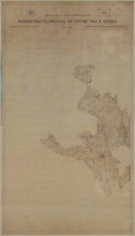 Perímetro Florestal – 28B [s.d.]