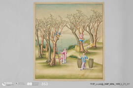 Título desconhecido (A cultura do chá)