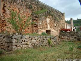 Ala nascente – Fotografia 020