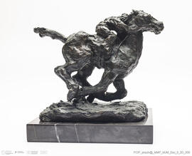 Cavalo em Corrida
