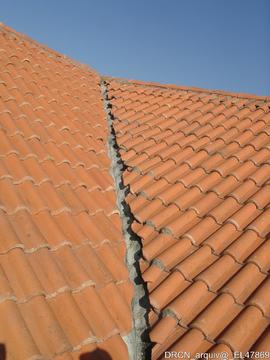 Fotografia 012