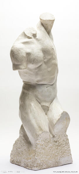 Torso Masculino