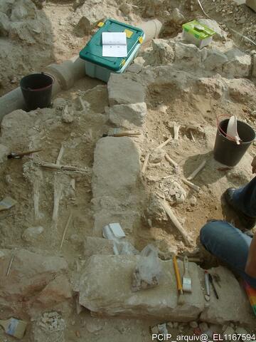 Open original Digital object