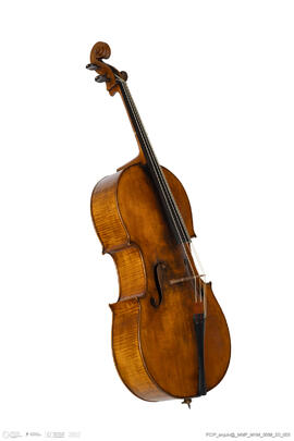 Violoncelo