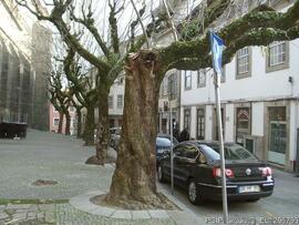 Fotografia das imediacoes