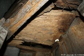 Madeira – Ataque de térmitas