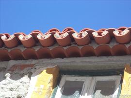 Fotografia 008